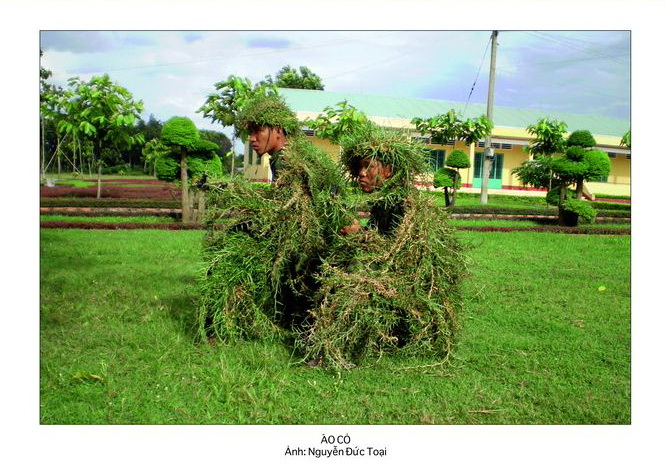Áo cỏ